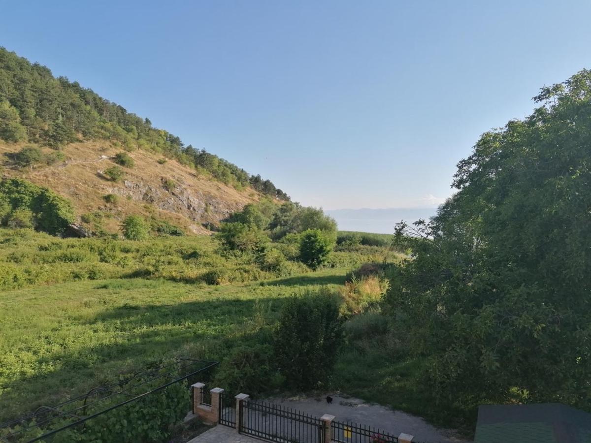 أوهغيد Vila Sara المظهر الخارجي الصورة