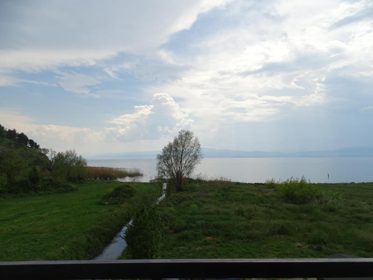 أوهغيد Vila Sara المظهر الخارجي الصورة