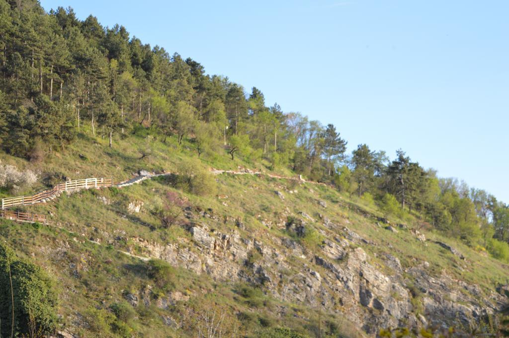 أوهغيد Vila Sara المظهر الخارجي الصورة
